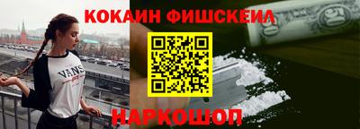 крисы Кулебаки