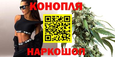 крисы Кулебаки