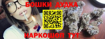 крисы Кулебаки