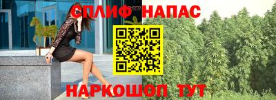 крисы Кулебаки