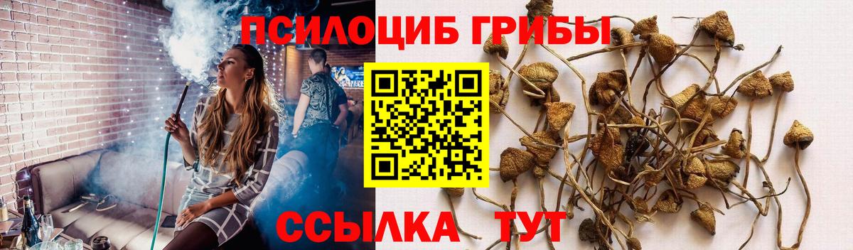 Иваново  Псилоцибиновые грибы Cubensis  Вход с VPN 