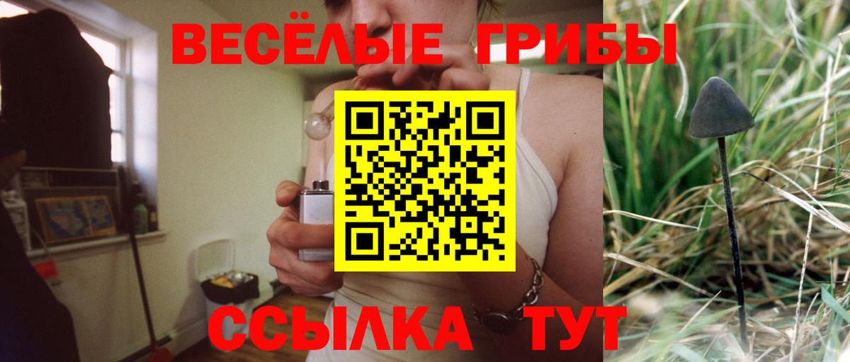 Псилоцибиновые грибы Psilocybine cubensis Иваново